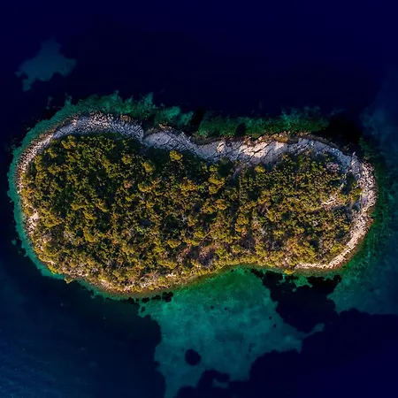 Levanat Iz